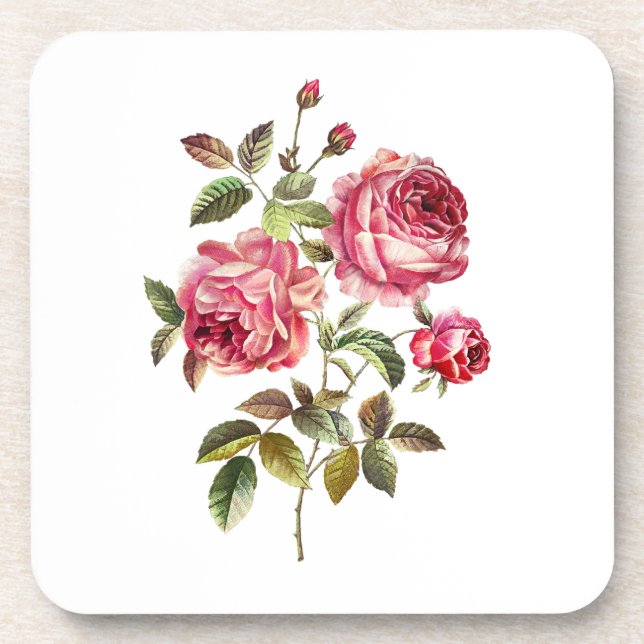 Dessous-de-verre Roses roses sur fond blanc (Devant)