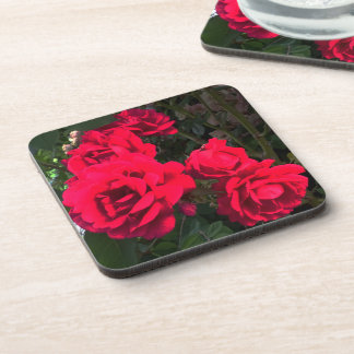 Dessous-de-verre Roses rouges florissantes