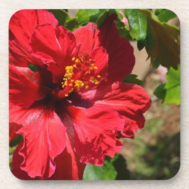 Dessous de verre rouge Hibiscus Cork (Devant)