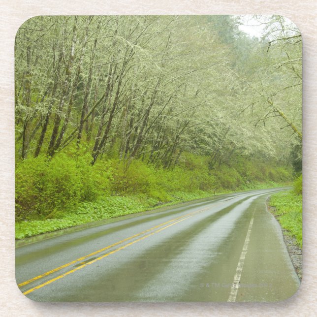 Dessous-de-verre Route à distance par la forêt (Devant)