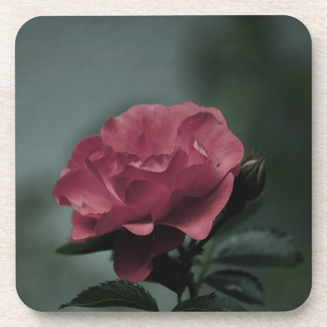 Dessous de verre Royal Blush Cork (Devant)