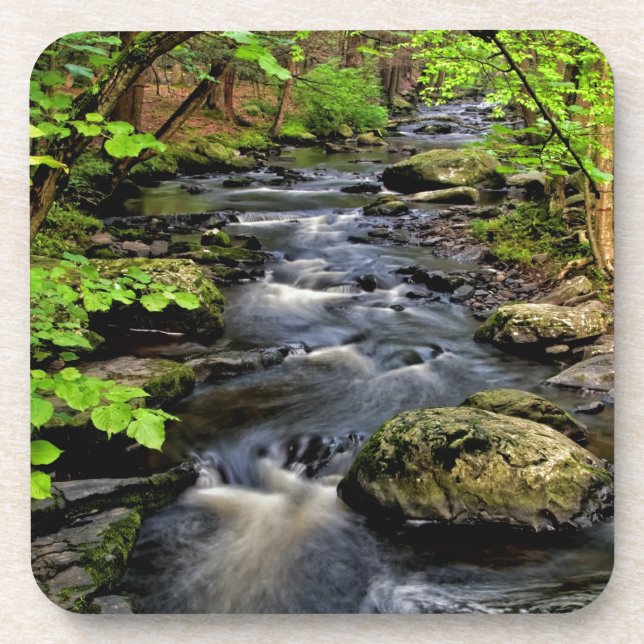Dessous-de-verre Ruisseau traverse la forêt (Devant)