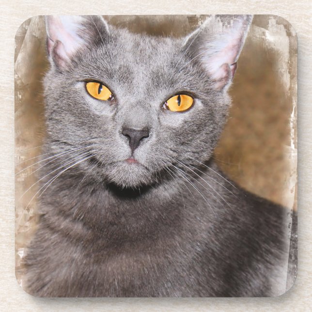 Dessous de verre RUSSES EN CHAT BLEU (Devant)