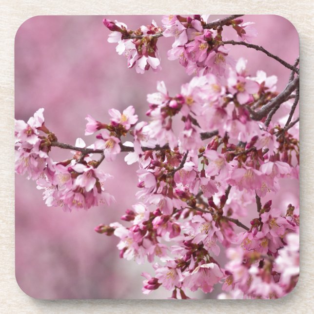 Dessous-de-verre Sakura Cherry Blossoms Pastel Pink Layers (Devant)
