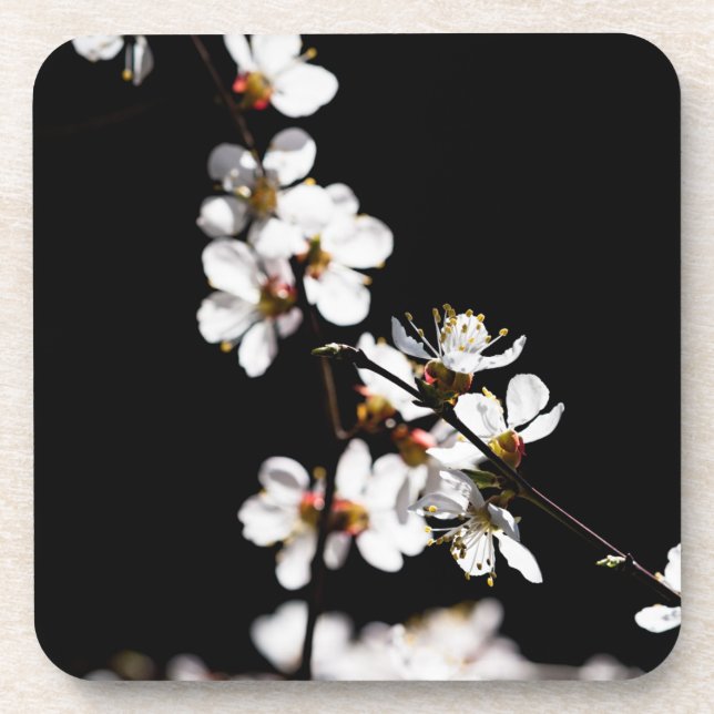 Dessous-de-verre Sakura flowers (Devant)