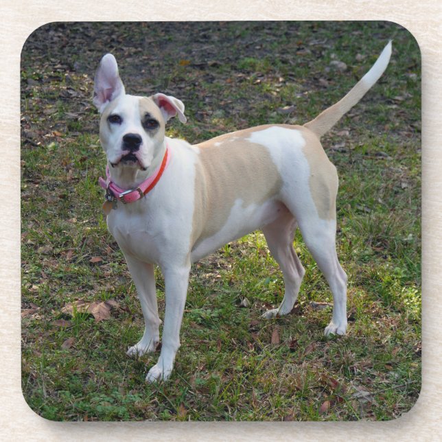 Dessous-de-verre Sally - Un chien Secouru (Devant)