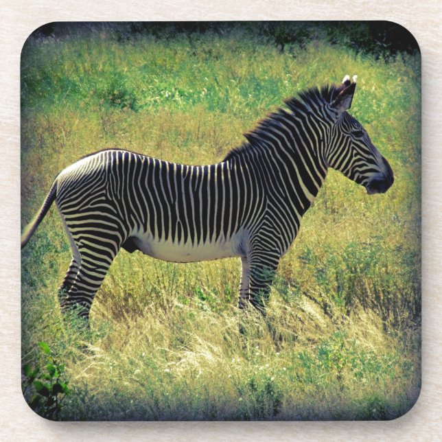 Dessous-de-verre Samburu Zebra (Devant)