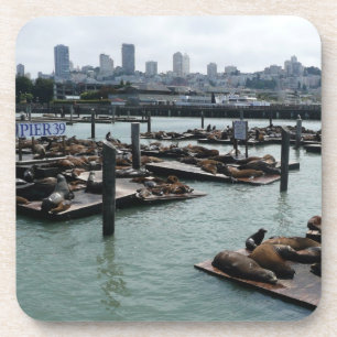 Dessous-de-verre San Francisco et Pier 39 Sea Lions City Skyline