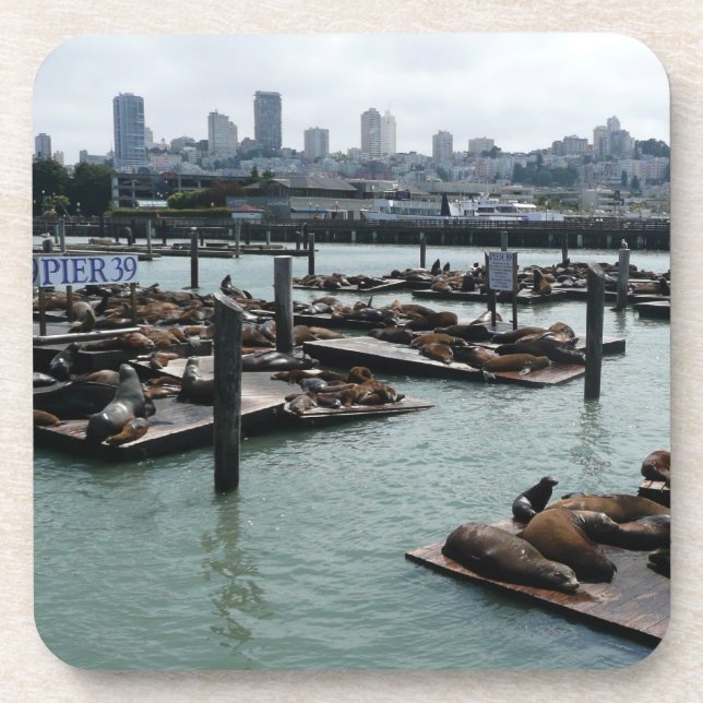 Dessous-de-verre San Francisco et Pier 39 Sea Lions City Skyline (Devant)