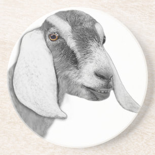 Dessous de verre Sandstone de chèvre nubienne