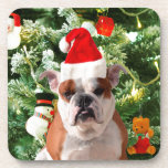 Dessous-de-verre Santa Hat Bulldog Christmas Tree Snowman boîte cad<br><div class="desc">Mignonne photo Bulldog avec boîte cadeau de Noël Tree Snowman en arrière - plan. Un cadeau parfait pour Noël !</div>