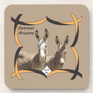dessous de verre sauvages, ânes, Oatman, Arizona