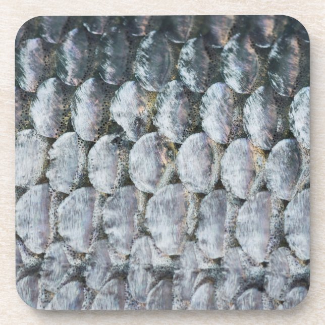 Dessous-de-verre Scales Saumons brillantes (Devant)