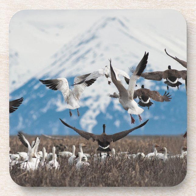 Dessous-de-verre Scattering Geese (Devant)