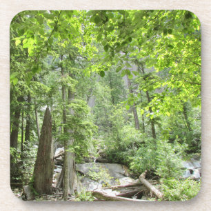 Dessous-de-verre Scène de Forêt Verte Magique.