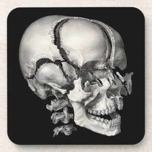 Dessous-de-verre Science vintage Anatomie humaine, Crâne antique