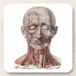 Dessous-de-verre Science vintage de l'anatomie humaine, nez de gorg