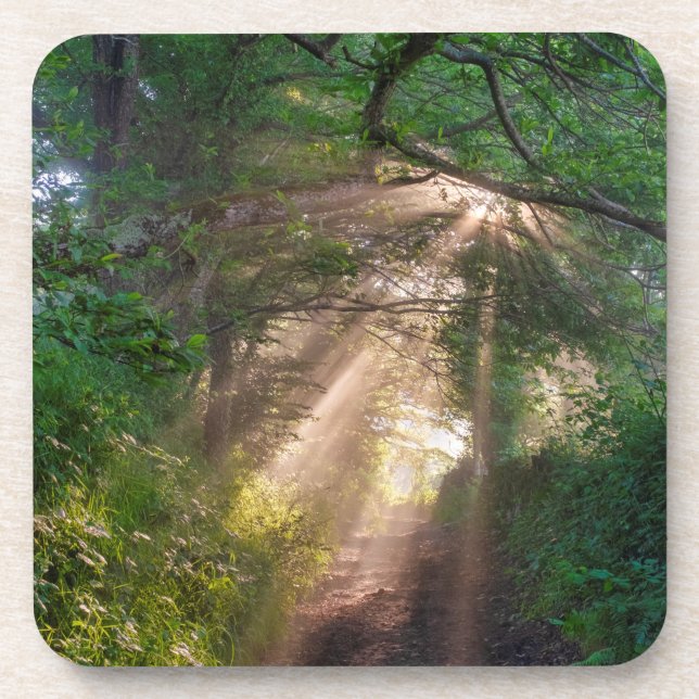 Dessous-de-verre sentier forestier (Devant)