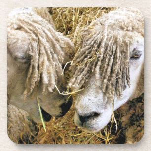 DESSOUS-DE-VERRE SHEEP