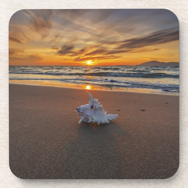 Dessous-de-verre Shell à la plage à l'île du coucher du soleil | (Devant)