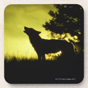 Dessous-de-verre Silhouette de loup hurlant
