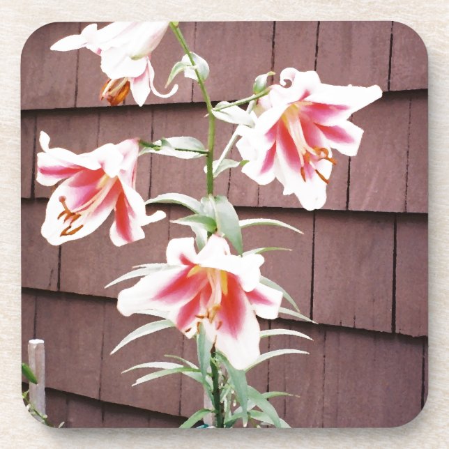 Dessous-de-verre Silk Road Lily (Devant)