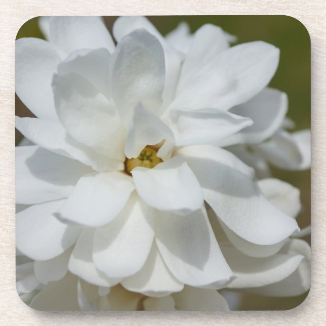 Dessous-de-verre Silky Magnolia (Devant)