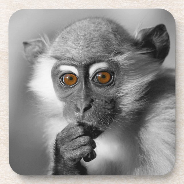 Dessous-de-verre Singe de Mangabey de bébé (Devant)