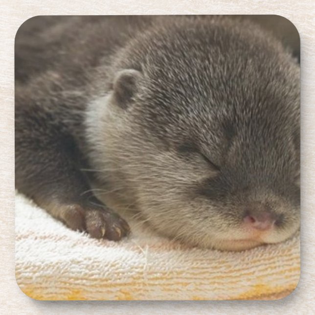 Dessous-de-verre Sleepy Otter (Devant)