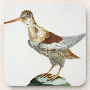 Dessous-de-verre Snipe, c.1767-76 (gravure colorée par main)
