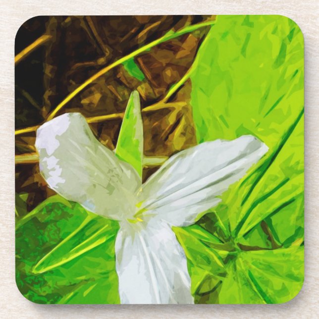 Dessous-de-verre Snow Trillium un Fleur sauvage blanc Abstrait (Devant)