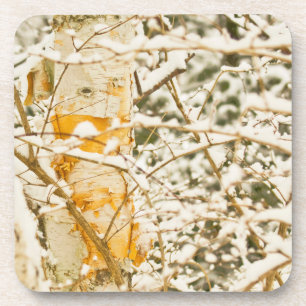 Dessous-de-verre Snowy Birch