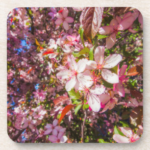 Dessous-de-verre Soleil et nuages La nature fleurit Coeur en fleurs