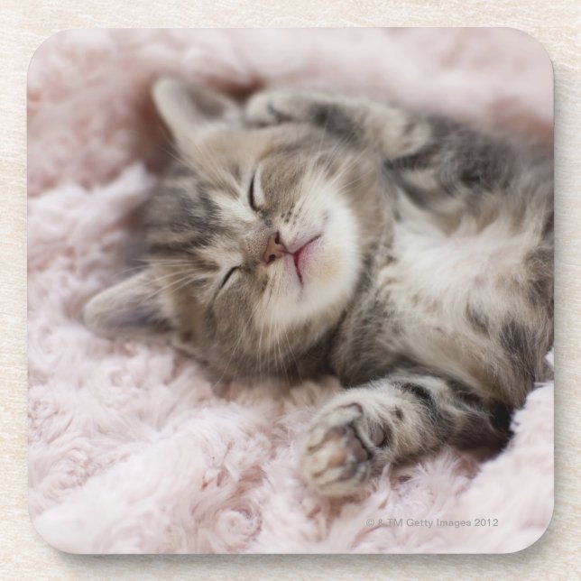 Dessous-de-verre Sommeil de chaton (Devant)