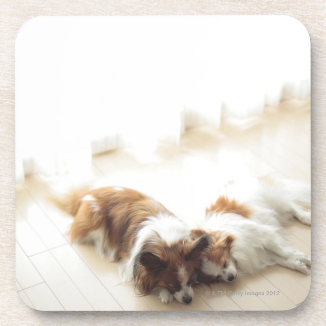 Dessous-de-verre Sommeil de deux Papillion (Devant)