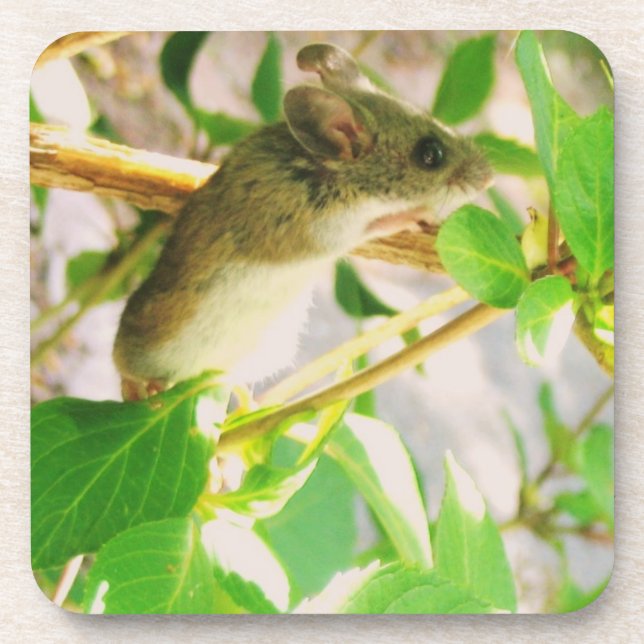 Dessous de verre souris (Devant)