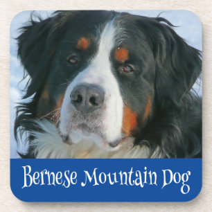 Dessous-de-verre Sous-tasse Boire Chien de Montagne Bernois Amour
