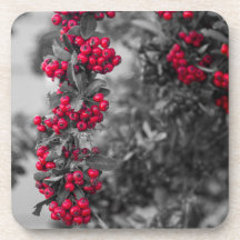Sous-verre botanique Pyracantha baie rouge et gris