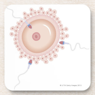 Dessous-de-verre Sperme contenant le gène muté