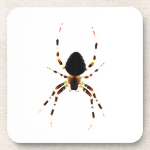 Dessous-de-verre Spider coastercn beverage coaster