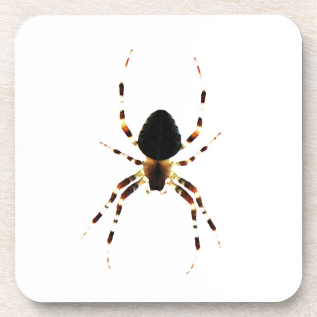 Dessous-de-verre Spider coastercn beverage coaster (Devant)
