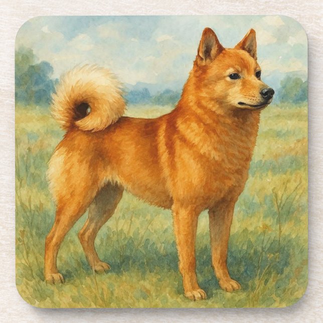 Dessous-de-verre Spitz finnois (Devant)
