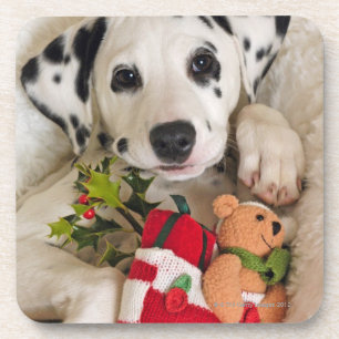 Dessous-de-verre studio