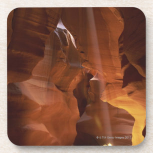 Dessous-de-verre Sunbeam frappant l'amarante sur le plancher de