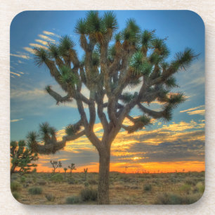 Dessous-de-verre Sunrise Du Parc National Joshua Tree