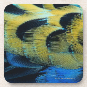 Dessous-de-verre Surface 4 de plume