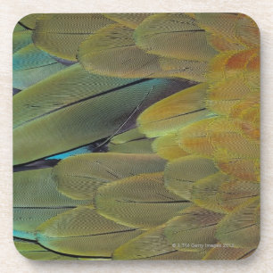 Dessous-de-verre Surface de plume