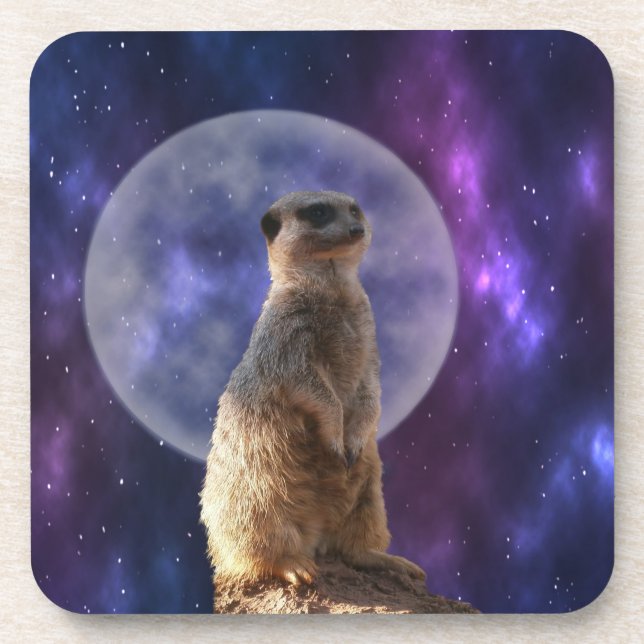 Dessous-de-verre Suricate et pleine lune, (Devant)