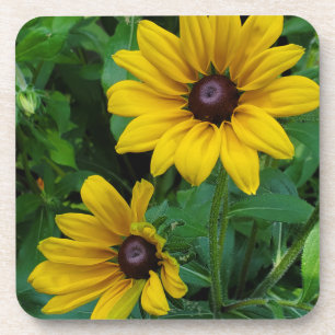 Dessous-de-verre Susans à oeil noir