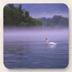 Dessous-de-verre Swan sur le lac